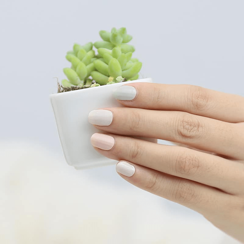 Holy Grail Nail Non-UV Nail Wraps Sherbert Dip - Holy Classics (Non-UV Nail Wraps)