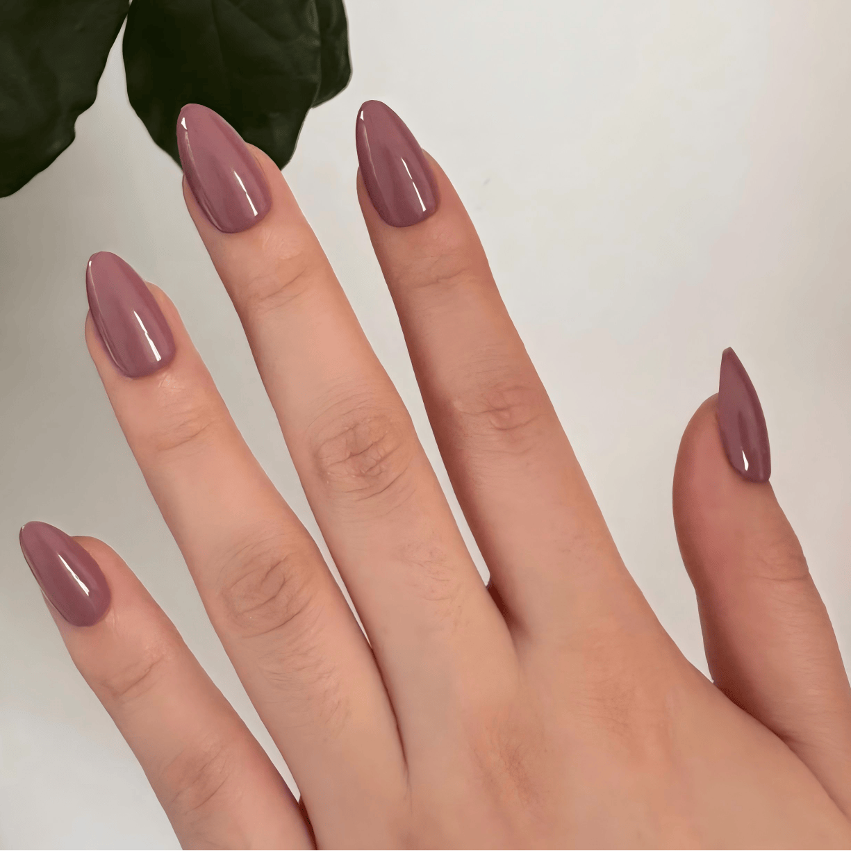 Holy Grail Nail press on Sulking Pink - Soft Gel Press Ons (Short Almond)